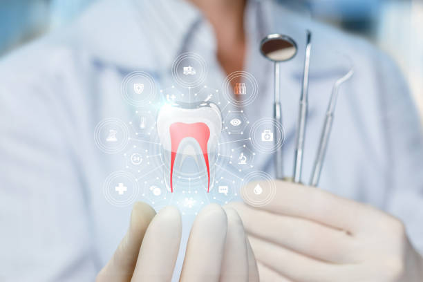 Trusted Nicollet, MN  Holistic Dental Services Experts